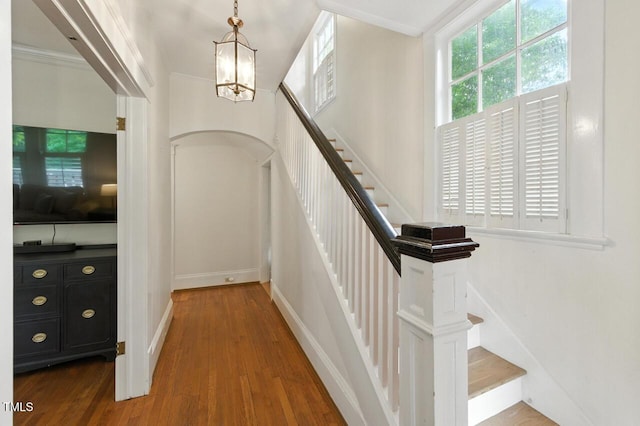 301 W Park Dr, Raleigh, NC 27605 - photo 6