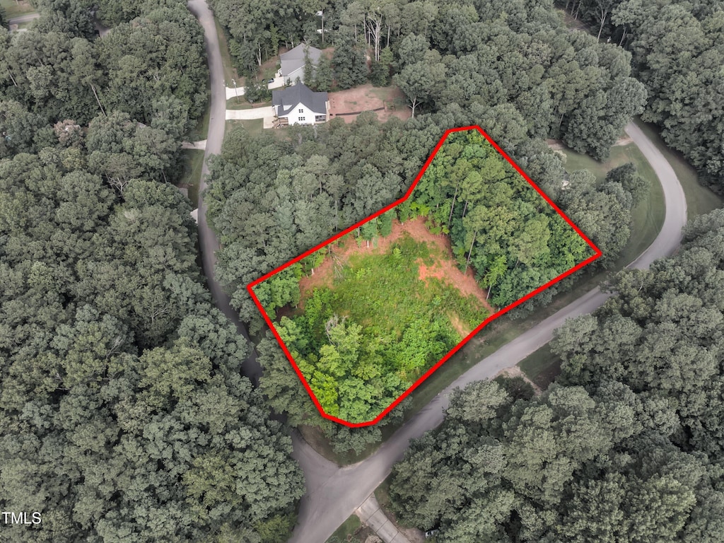 118122 Huron Dr, Louisburg, NC 27549 - photo 1
