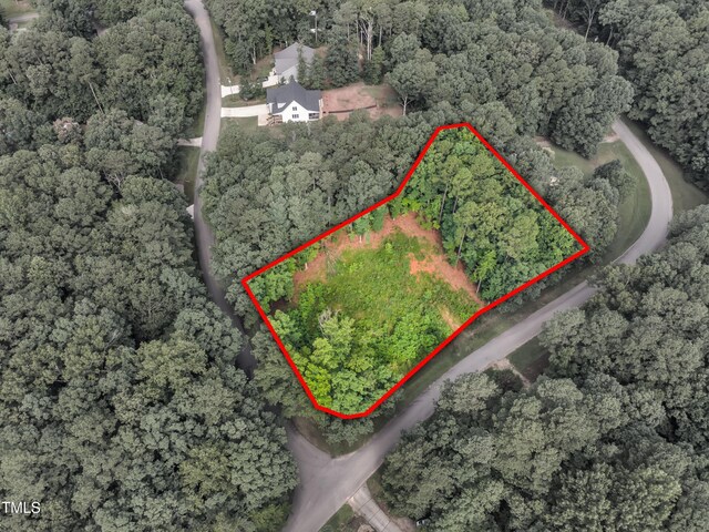 118122 Huron Dr, Louisburg, NC 27549 - photo 1