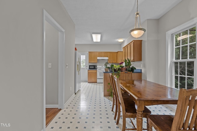 108 Tarlow Ct, Cary, NC 27513 - dining space featuring light flooring and healthy amount of natural light