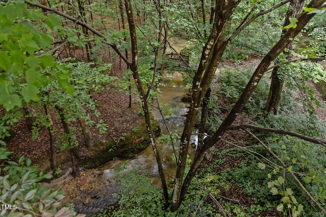 108 Tarlow Ct, Cary, NC 27513 - view of undeveloped land