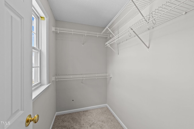 108 Tarlow Ct, Cary, NC 27513 - photo 23