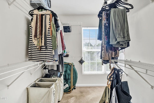 2127 Rivergrass Ct, Raleigh, NC 27610 - spacious closet featuring carpet floors