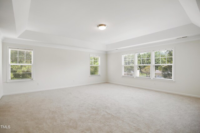 80 Clubhouse Dr, Youngsville, NC 27596 - carpeted empty room with a tray ceiling and baseboards