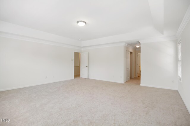 80 Clubhouse Dr, Youngsville, NC 27596 - spare room with a tray ceiling, light carpet, and ornamental molding