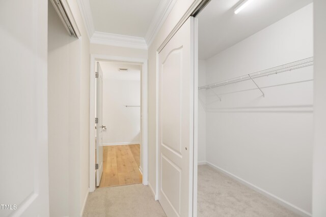 80 Clubhouse Dr, Youngsville, NC 27596 - walk in closet featuring light carpet