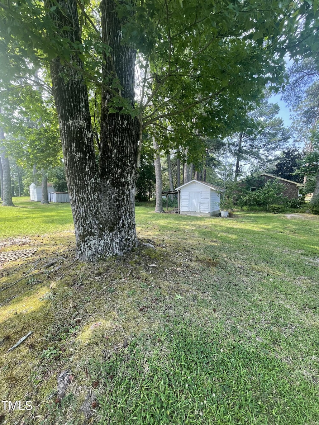 503 Indian Trl, Nashville, NC 27856 - view of grassy yard featuring a shed