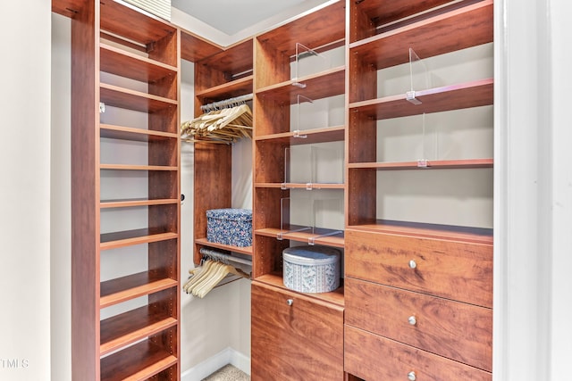 428 Holsten Bank Way, Cary, NC 27519 - view of walk in closet