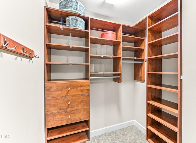 428 Holsten Bank Way, Cary, NC 27519 - spacious closet featuring carpet floors