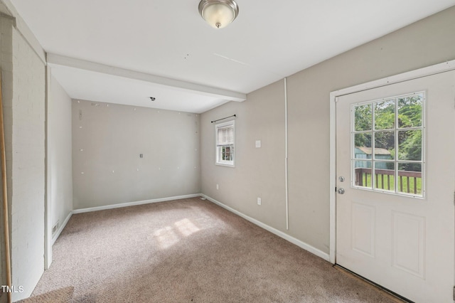 1019 Greenwich St, Raleigh, NC 27610 - photo 13