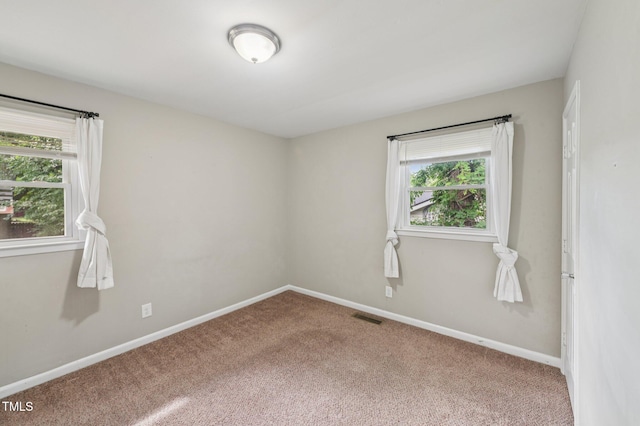 1019 Greenwich St, Raleigh, NC 27610 - photo 15