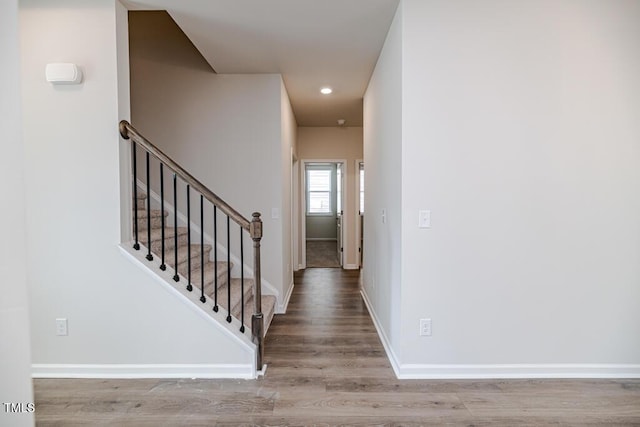 305 Brindle Dr, Home, Fuquay Varina, NC 27526 - photo 8