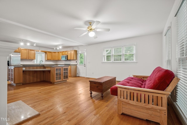9903 Oak Hollow Rd, Chapel Hill, NC 27516 - living area with light wood-type flooring, ceiling fan, and rail lighting