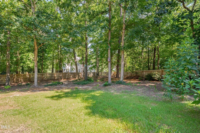 3 Harold Keen Ct, Durham, NC 27703 - photo 33