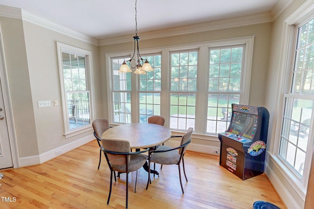 4 Springtree Cir, Durham, NC 27712 - dining room with plenty of natural light, light wood-type flooring, a chandelier, and crown molding