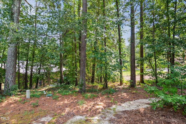 5436 Sharpe Dr, Raleigh, NC 27612 - photo 18