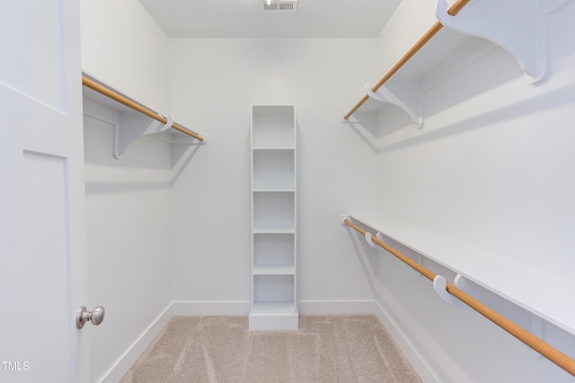 119 W Piedmont Ave, Durham, NC 27707 - spacious closet with light carpet
