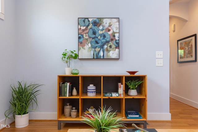 119 W Piedmont Ave, Durham, NC 27707 - detailed view of arched walkways and wood finished floors