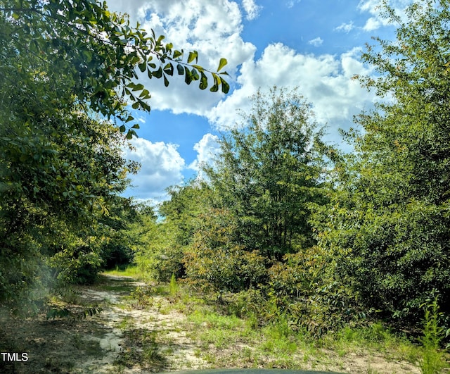 00 Challenger Dr, Linden, NC 28356 - photo 6