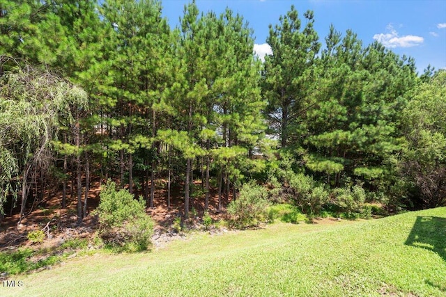 5 Bent Branch Ct, Durham, NC 27704 - view of green lawn