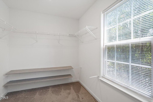 5 Bent Branch Ct, Durham, NC 27704 - walk in closet with carpet floors