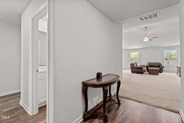 764 Frosty Way, Zebulon, NC 27597 - hall featuring wood finished floors