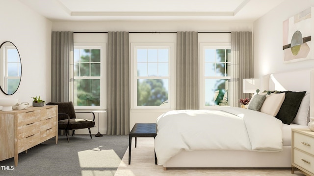 336 Calvander Ln, Apex, NC 27539 - carpeted bedroom featuring a tray ceiling