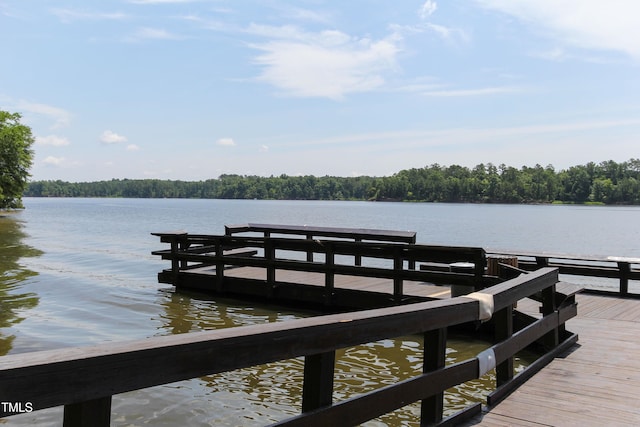 336 Calvander Ln, Apex, NC 27539 - dock area with a water view and a view of trees