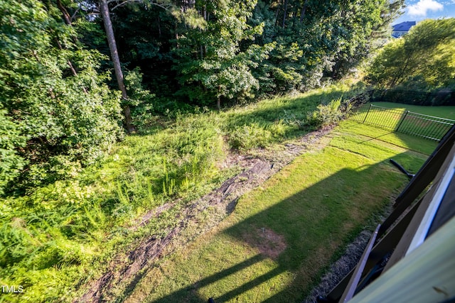 425 Cahors Trl, Holly Springs, NC 27540 - view of yard