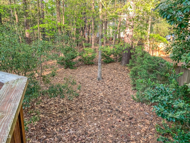 3008 Sgt Pepper Ct, Raleigh, NC 27603 - view of yard