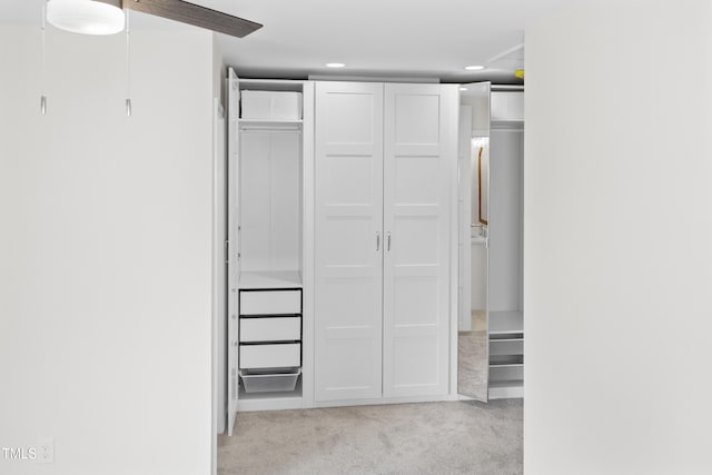 310 E Pilot St, Durham, NC 27707 - view of closet