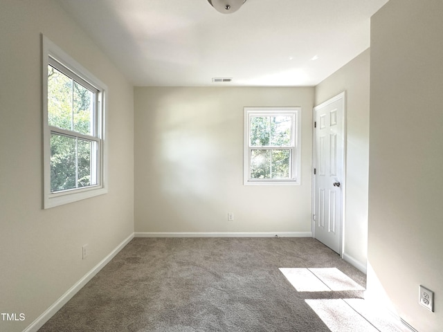 310 E Pilot St, Durham, NC 27707 - photo 25