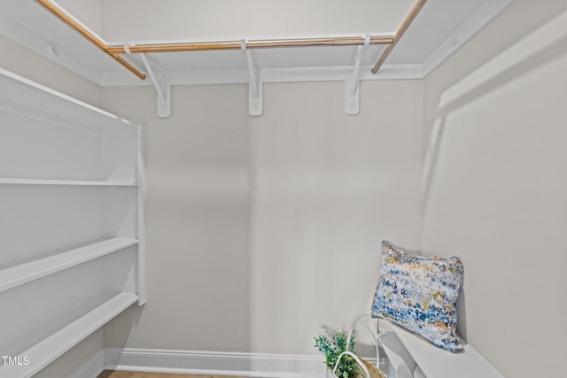 1400 Gathering Park Cir Unit 302, Cary, NC 27519 - view of walk in closet