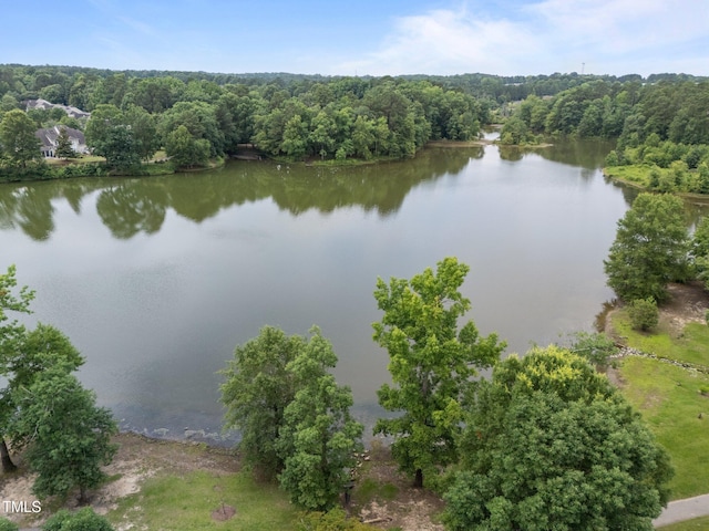 1400 Gathering Park Cir Unit 302, Cary, NC 27519 - water view with a forest
