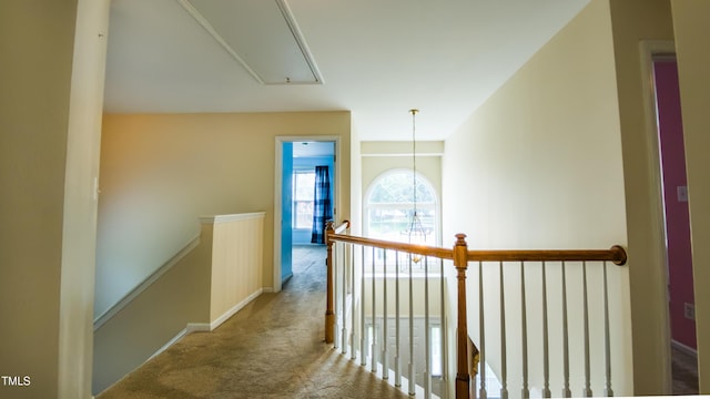 902 Savannah Ct, Hillsborough, NC 27278 - photo 15