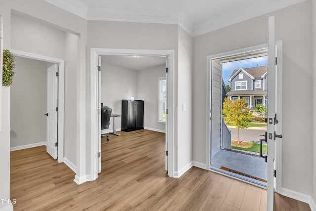 115 Circle City Way, Pittsboro, NC 27312 - entrance foyer with light wood-style flooring, healthy amount of natural light, and ornamental molding