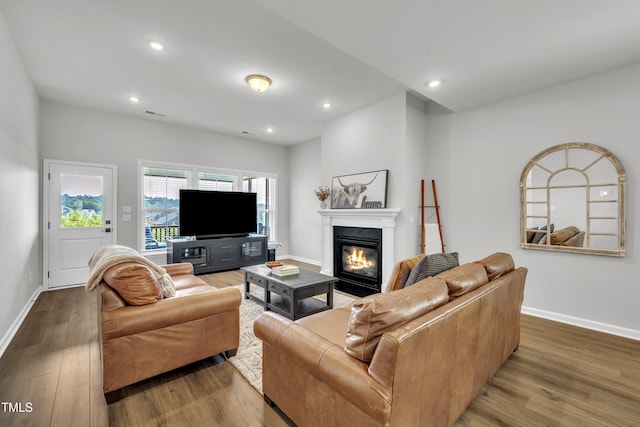 115 Circle City Way, Pittsboro, NC 27312 - living room with wood finished floors, a glass covered fireplace, and recessed lighting