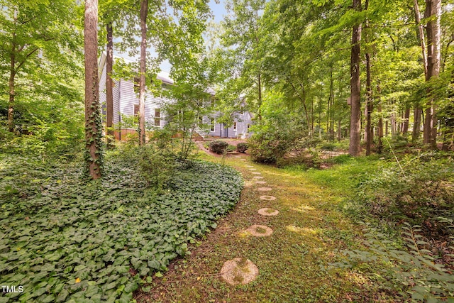 101 Springbrook Pl, Cary, NC 27518 - photo 54