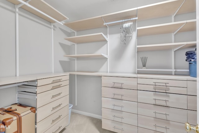 13201 Townfield Dr, Raleigh, NC 27614 - view of walk in closet