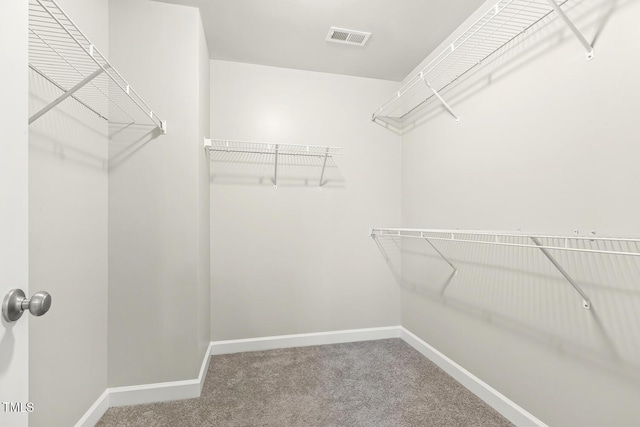 245 E Webber Ln, Clayton, NC 27527 - walk in closet with carpet flooring