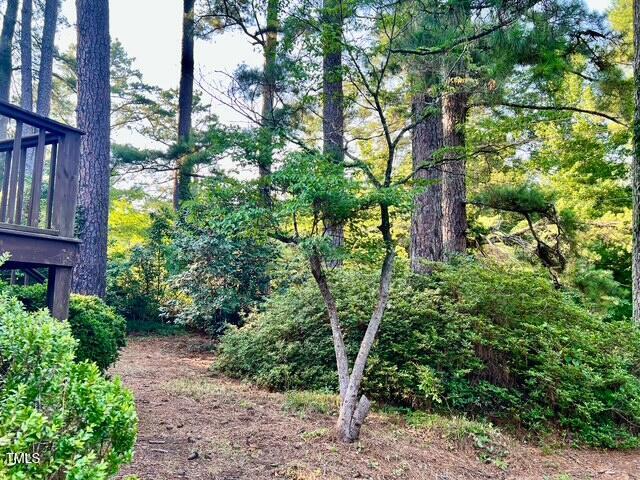 612 Williamsboro St, Oxford, NC 27565 - view of yard
