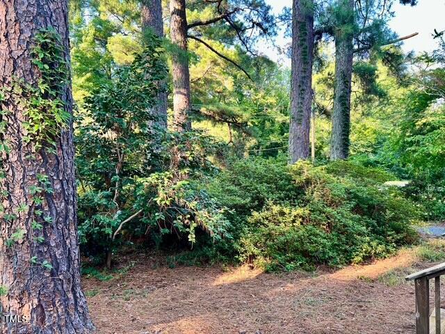 612 Williamsboro St, Oxford, NC 27565 - view of woods