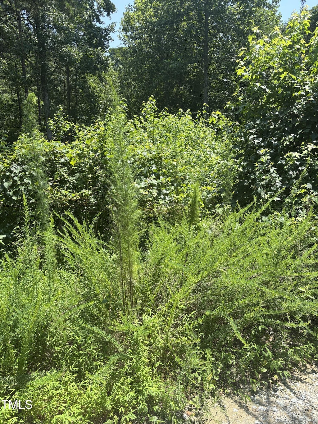 LOT24 Turtle Hill Ct, Roxboro, NC 27573