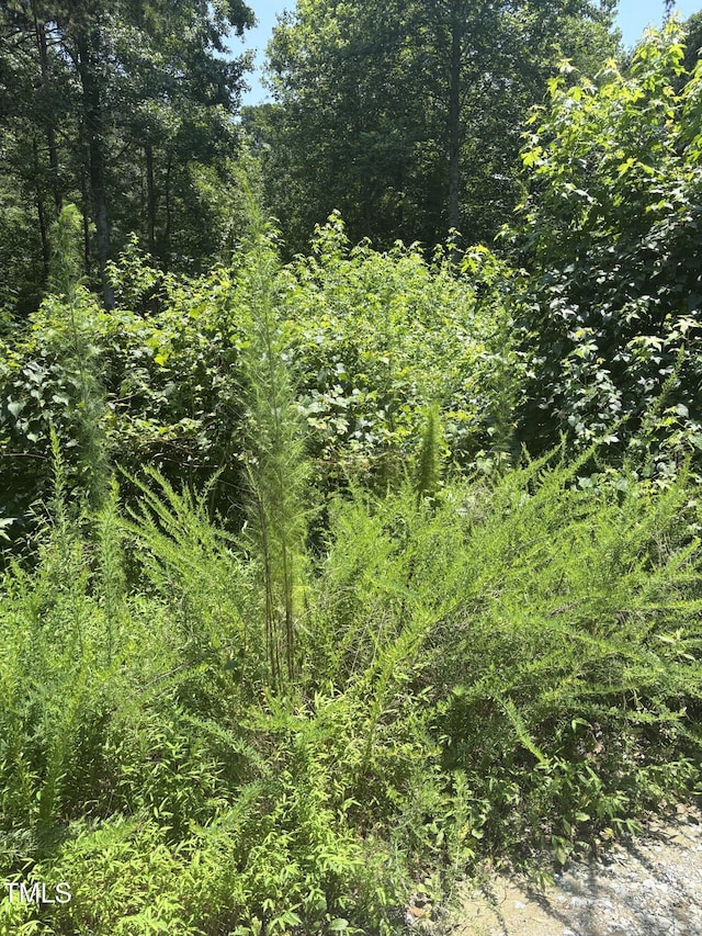 LOT24 Turtle Hill Ct, Roxboro, NC 27573