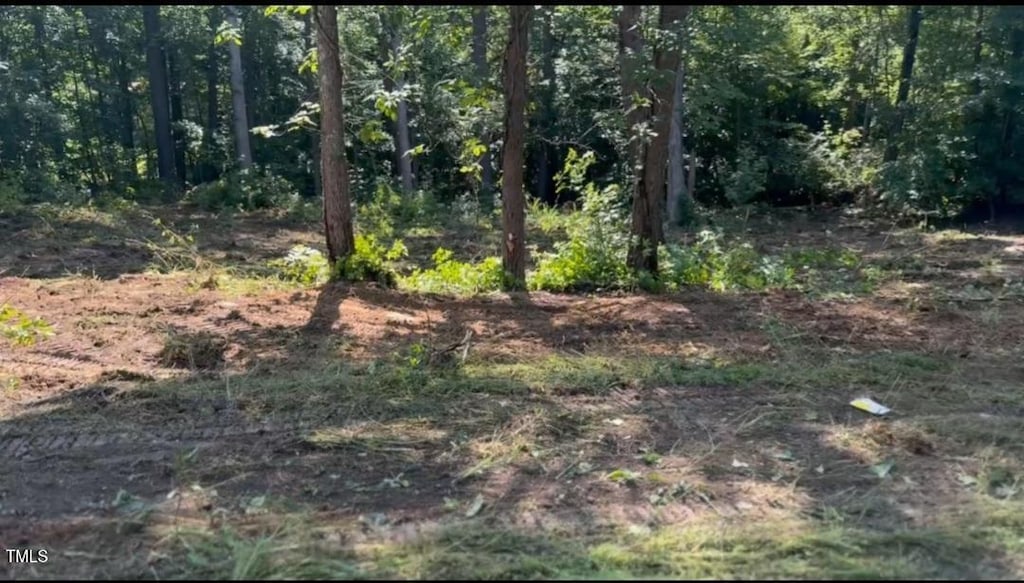 LOT24 Turtle Hill Ct, Roxboro, NC 27573 - photo 2