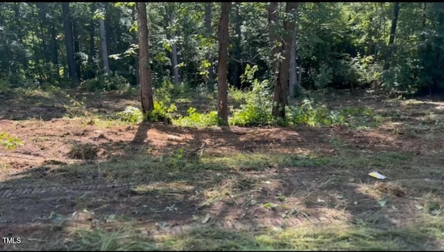 LOT24 Turtle Hill Ct, Roxboro, NC 27573 - photo 2
