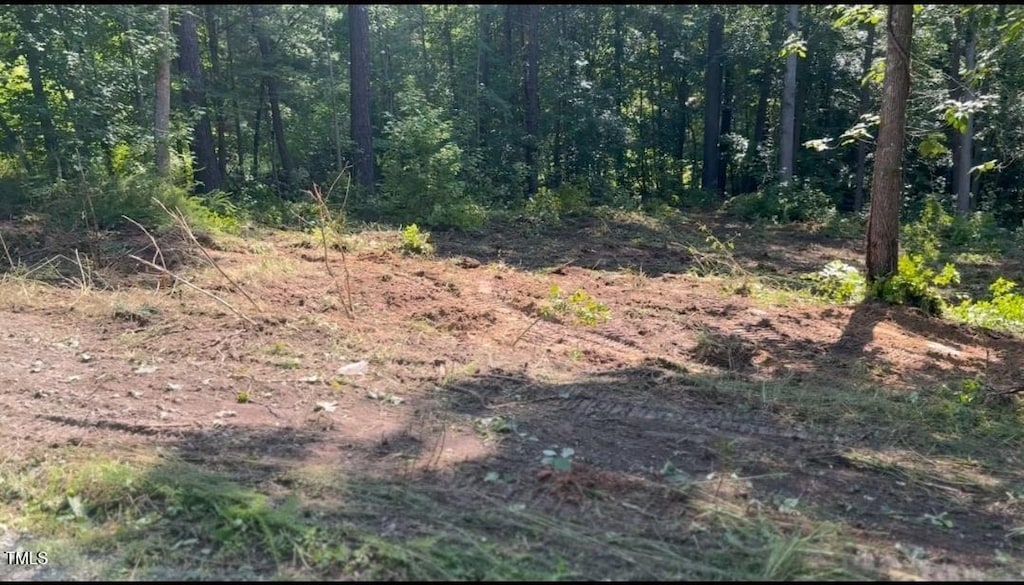 LOT24 Turtle Hill Ct, Roxboro, NC 27573 - photo 1