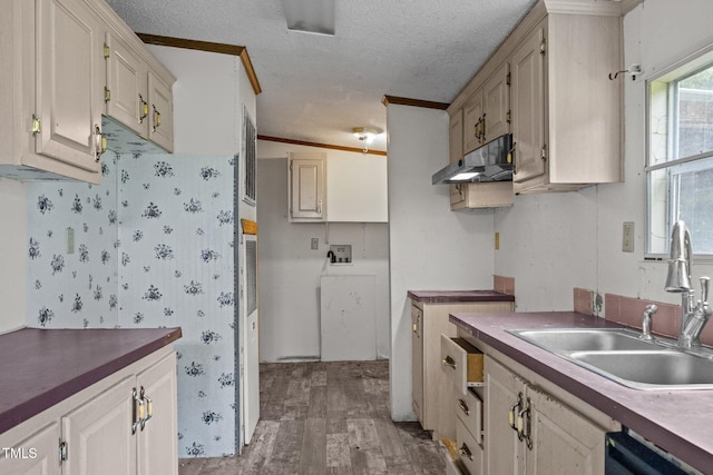 112 Elsie Marie Dr, Youngsville, NC 27596 - kitchen featuring under cabinet range hood, wood finished floors, a textured ceiling, dishwasher, and crown molding