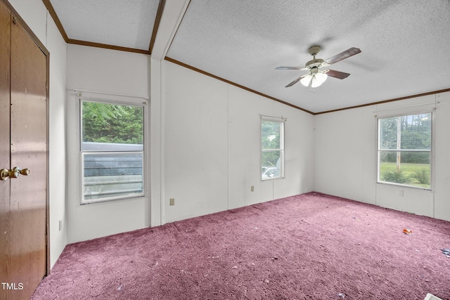 112 Elsie Marie Dr, Youngsville, NC 27596 - carpeted empty room with lofted ceiling, crown molding, ceiling fan, healthy amount of natural light, and a textured ceiling