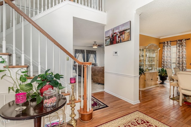 801 Falling Wind Ct, Raleigh, NC 27610 - foyer entrance with wood finished floors, stairway, ornamental molding, a ceiling fan, and a textured ceiling